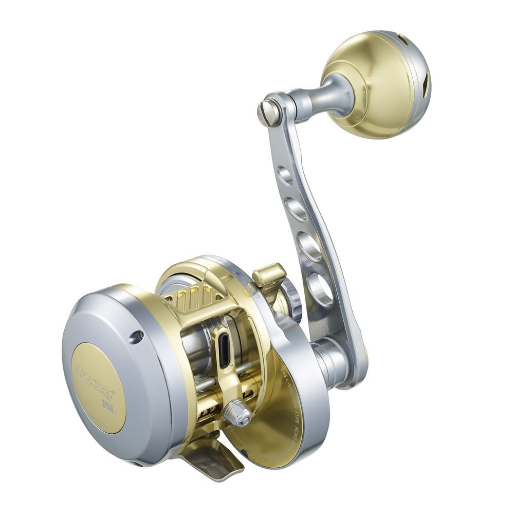 Armory 15 Level Wind Reel first thumb image