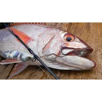 Product alt image 9