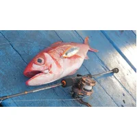 Product alt image 7