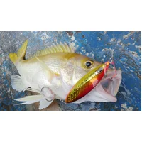 Product alt image 14