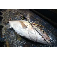Product alt image 6
