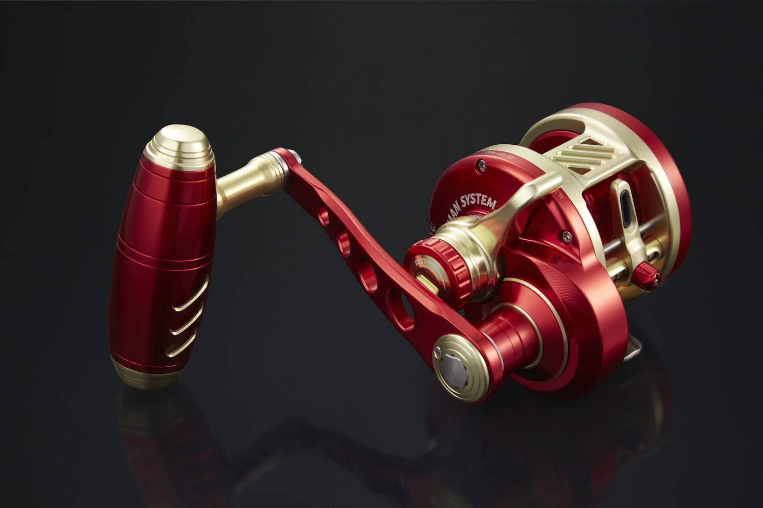 Armory 25 Level Wind Reel