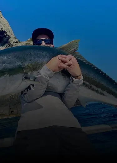 Showcase Video Banner